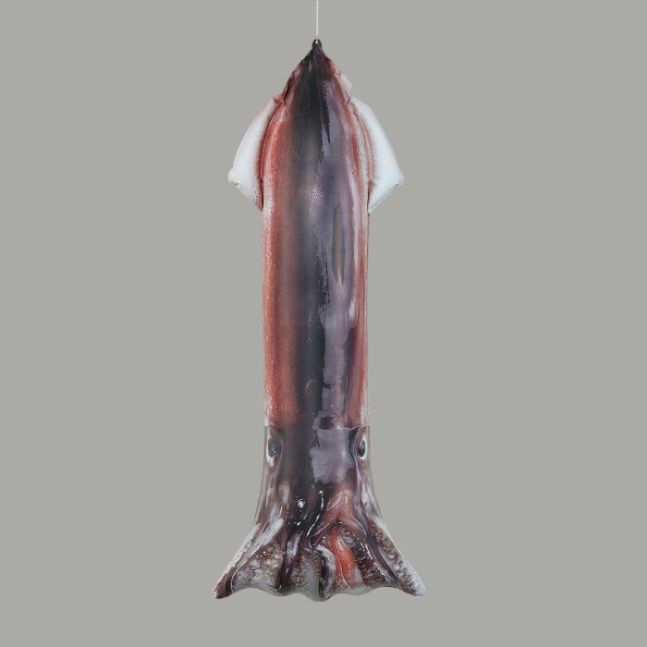 天井の装飾に！エアーＰＯＰバルーンイカの商品画像